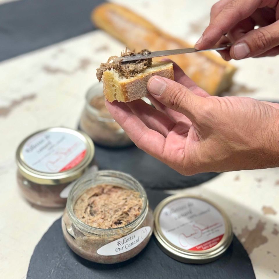 Rillettes pur canard tartine